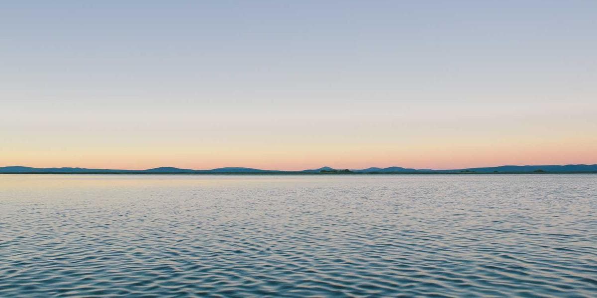 Competition & Anti-trust